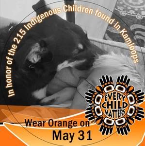 Meet your Posher, Norma